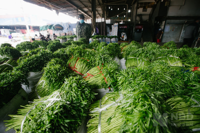 武汉人的菜篮子如何保障?记者实拍蔬菜供给一线
