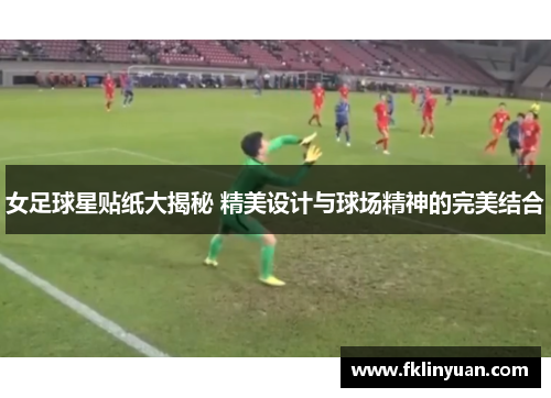 女足球星贴纸大揭秘 精美设计与球场精神的完美结合