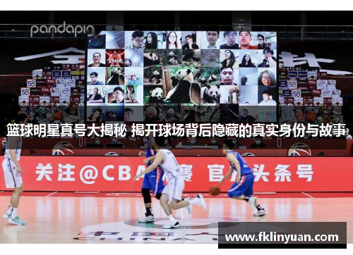 篮球明星真号大揭秘 揭开球场背后隐藏的真实身份与故事